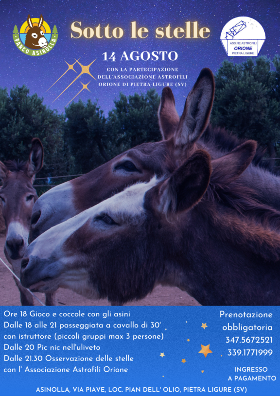 Asinolla “Sotto le stelle”