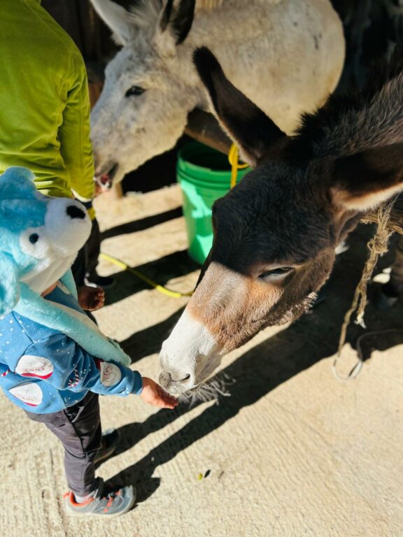 Winter camp 2024 (2)