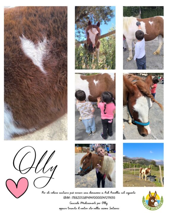 Aiuto per Olly