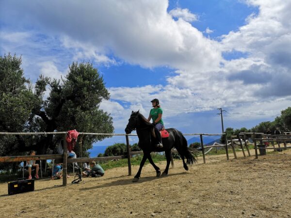 Lezione equitazione collettiva - durata 25 minuti