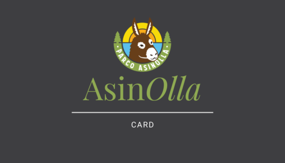 Asinolla Card