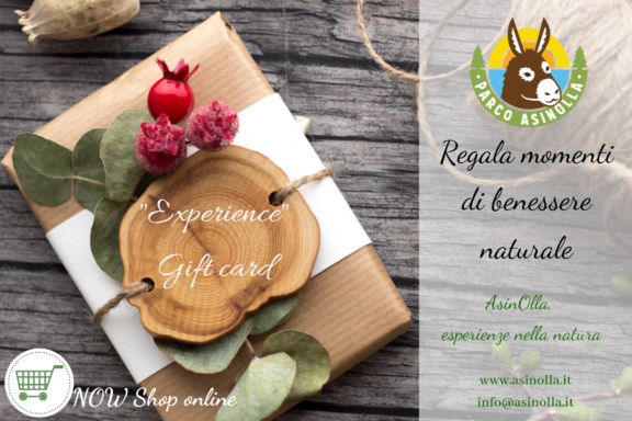 Experience Gift Card