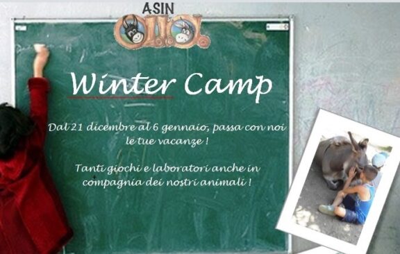 Winter Camp