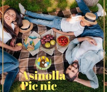 Pic-Nic