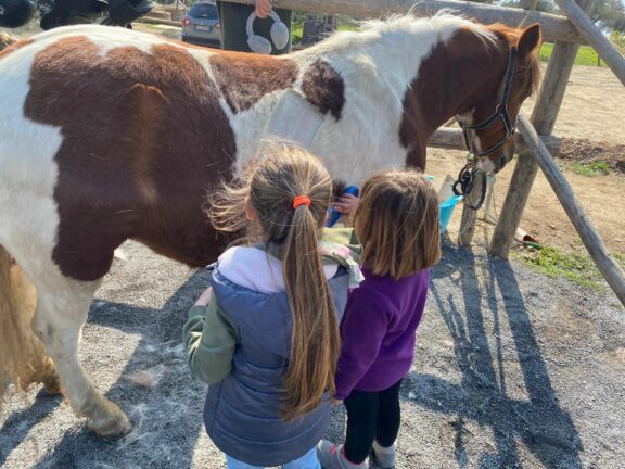 Bimbi cavallo