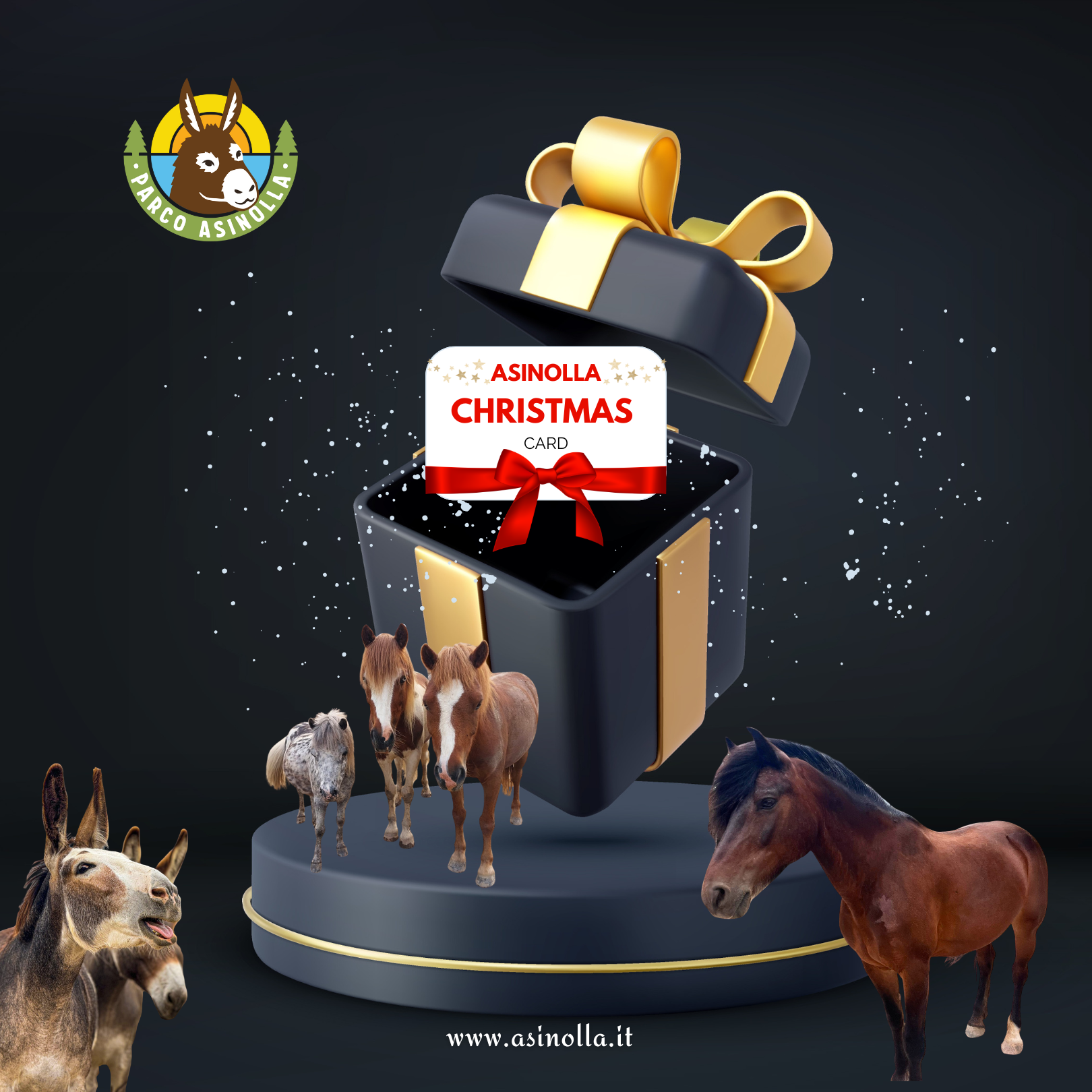 AsinOlla Christmas Card