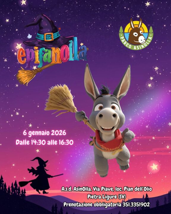 WhatsApp Image 2025-12-28 at 19.05.07 (2)