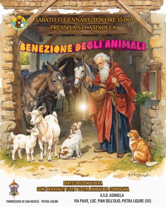 WhatsApp Image 2026-01-12 at 22.54.14 (1)