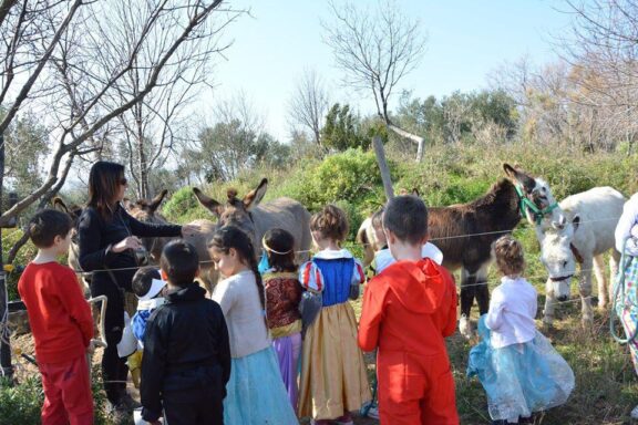 WhatsApp Image 2020-02-22 at 20.45.19