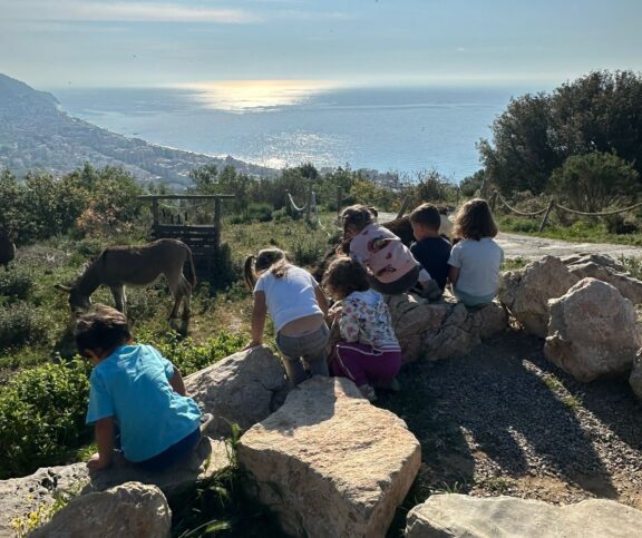 Asd AsinOlla 2026 (10)